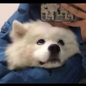 爽⋯好大⋯快⋯深点原耽
